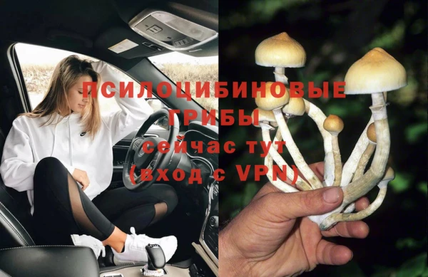 крисы Алексеевка