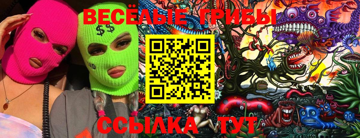 Арсеньев  Псилоцибиновые грибы Psilocybine cubensis  даркнет сайт  Вход с VPN 